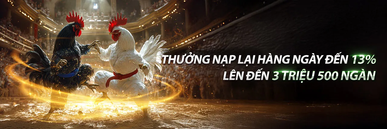 Đá gà trực tuyến sôi động tại hbbet hiện đang mở